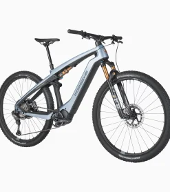 Porsche Ebike Cross Performance