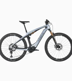 Porsche Ebike Cross Performance