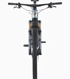 Porsche Ebike Cross Performance