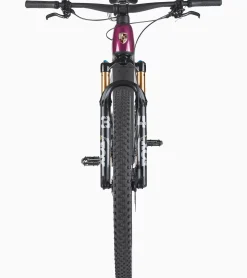 Porsche Ebike Cross Performance Exc